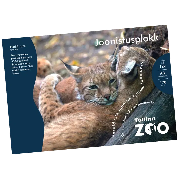 Joonistusplokk loomaaed a3/170g 12