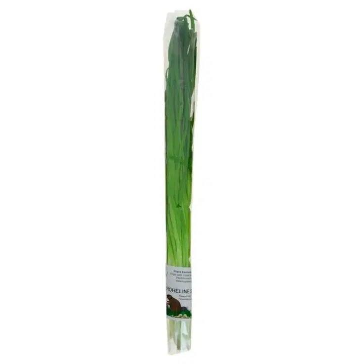 Mahe roheline sibul 100g