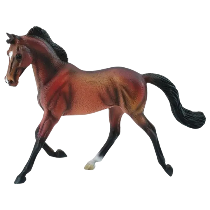 Thorughbred mära