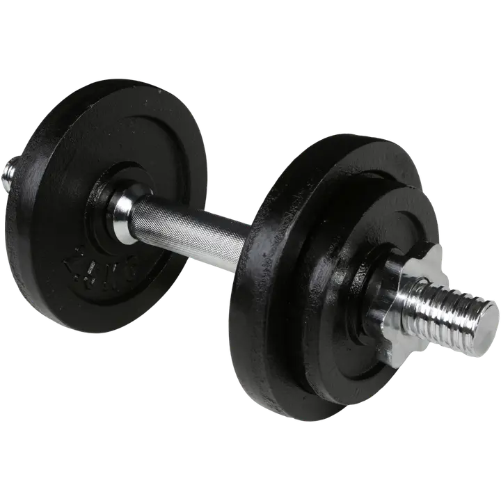 10 kg hantlite komplekt