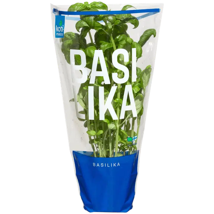 Kotimaista Basiilik potis