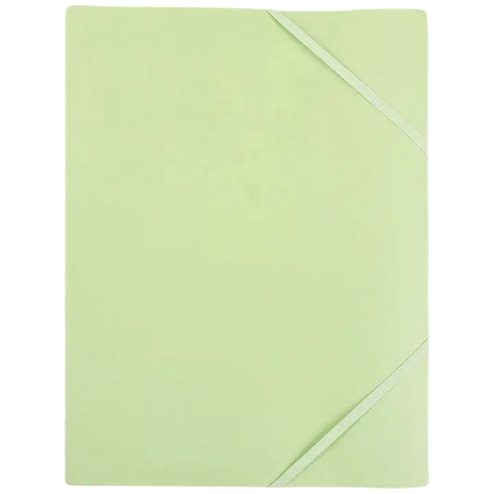 Mapp kummipaelaga a4 pastellroheline
