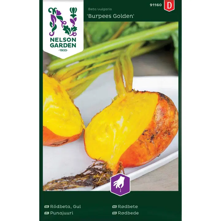 91160 punapeet, burpees golden