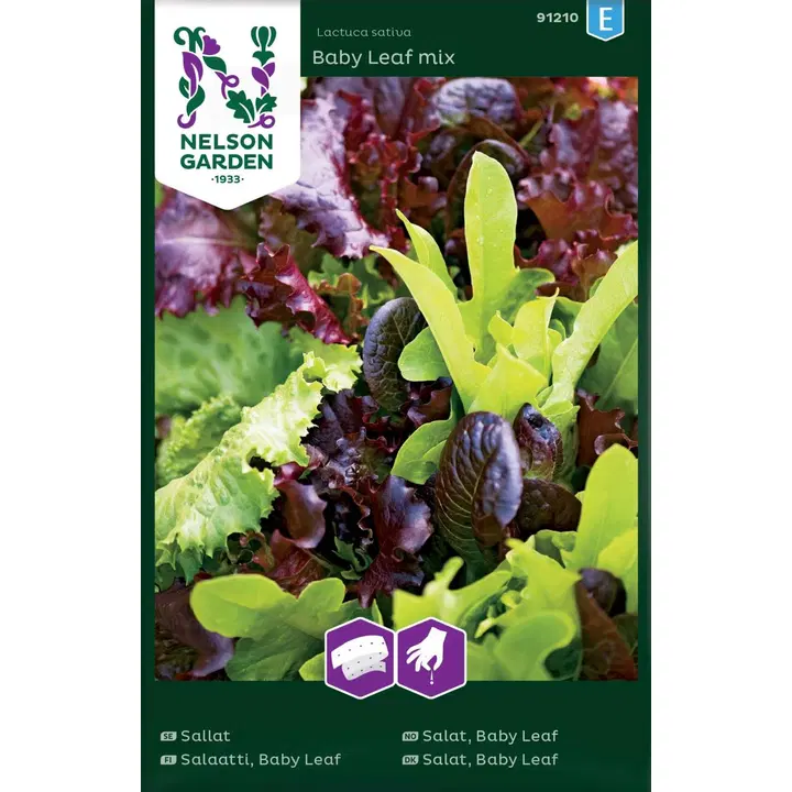 91210 salat baby leaf, seos, külvilint