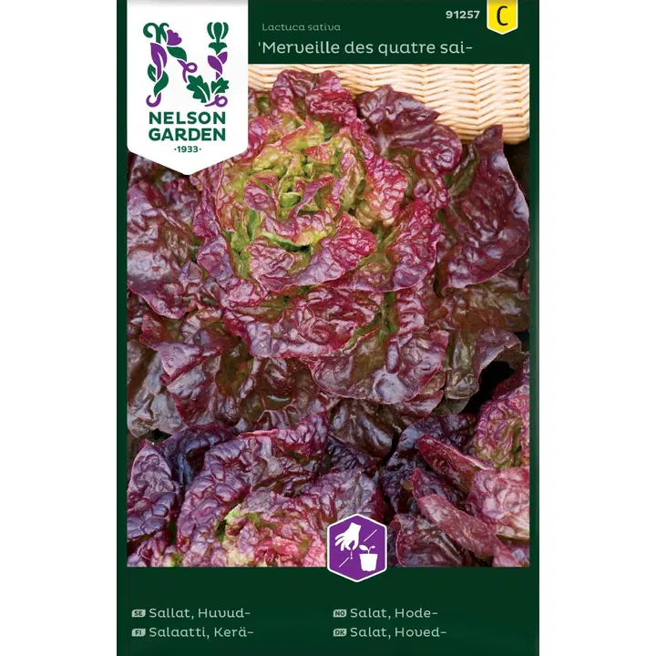 91257 salat merveille des quatres