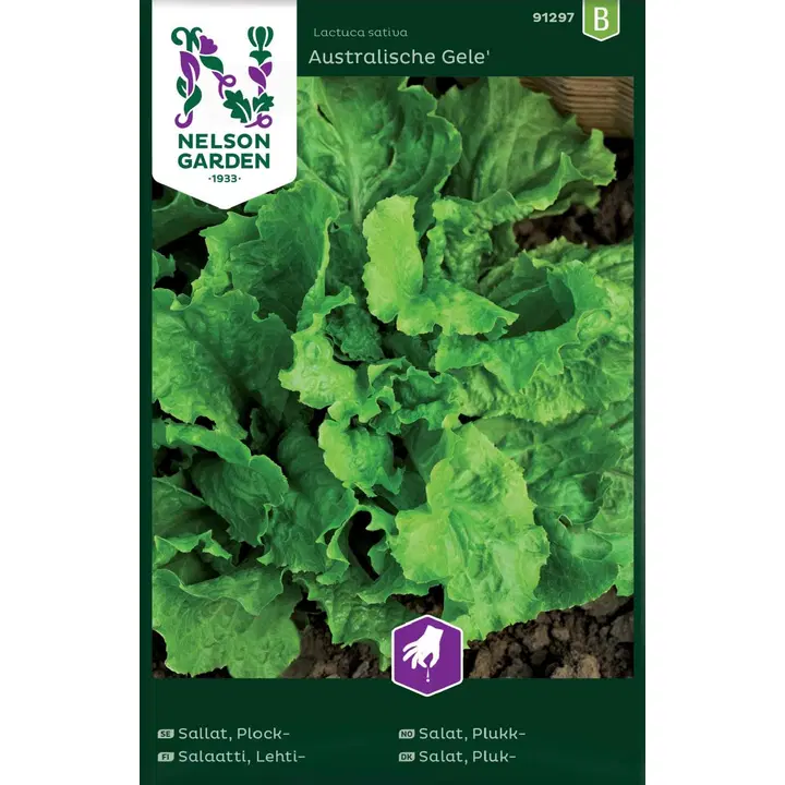 91297 salat australialainen