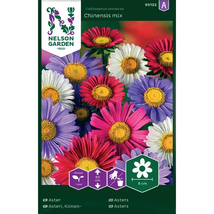 93122 aster chinensis väriseos