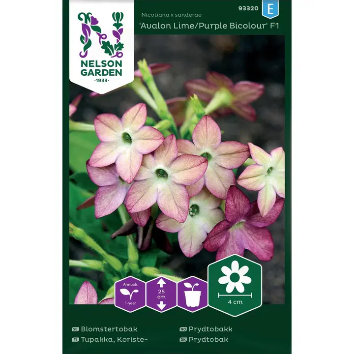 93320 tubakas lime/purple bicolour