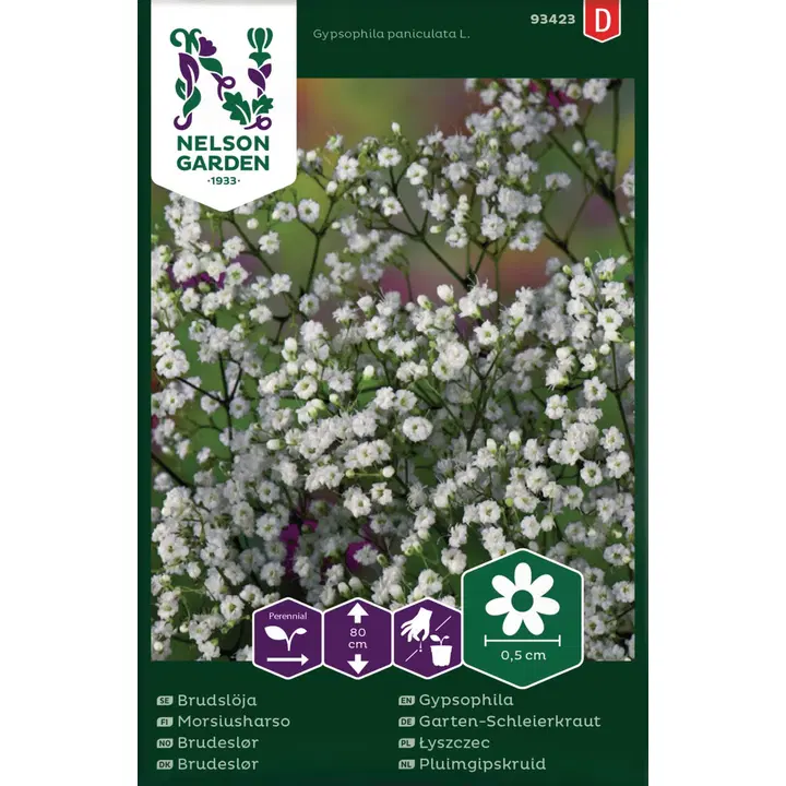 93423 gypsophila morsius