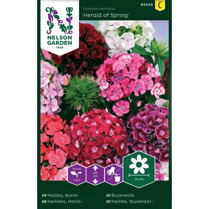 93428 nelk herald of spring, seos