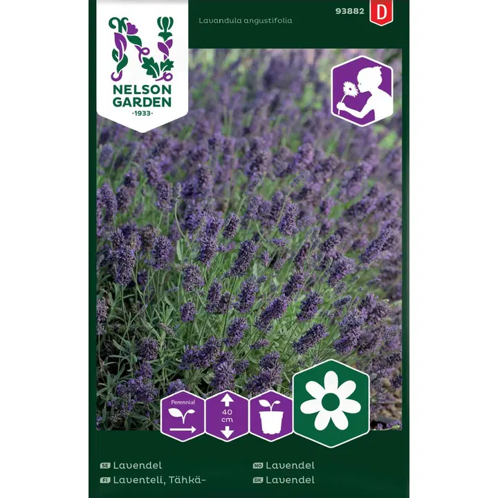 93882 lavendel