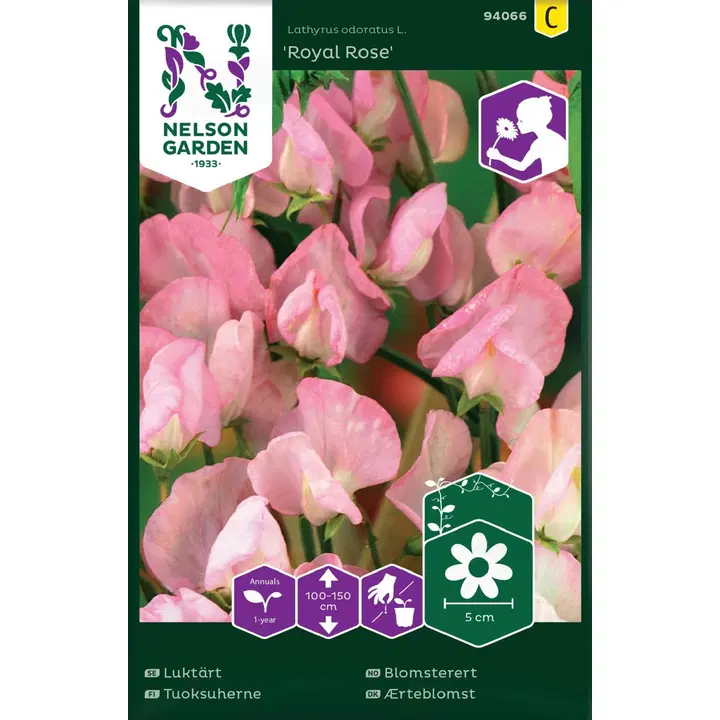 94066 lillhernes royal rose