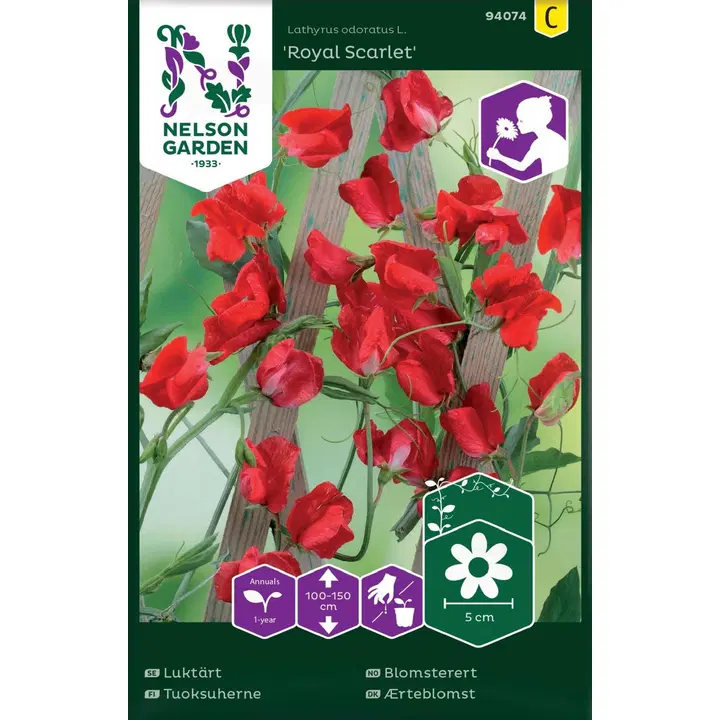 94074 lillhernes royal scarlet