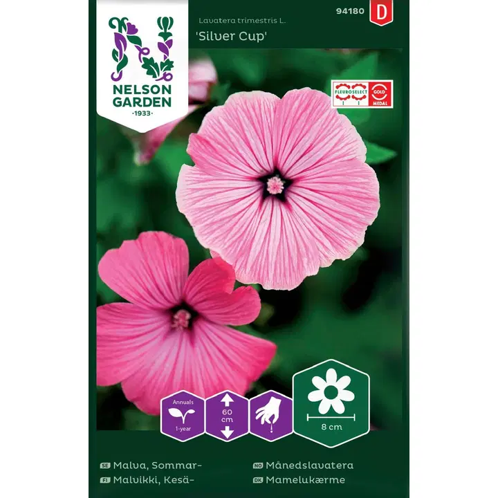 94180 lavatera trimestris, silver cup