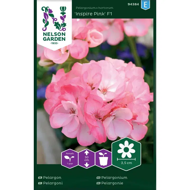 94384 pelargoon inspire pink f1