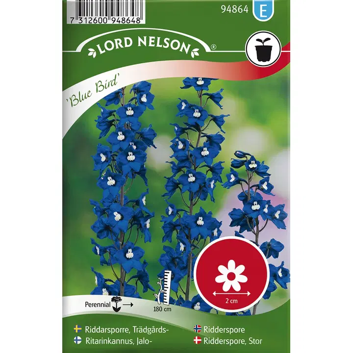 94864 delphinium blue bird