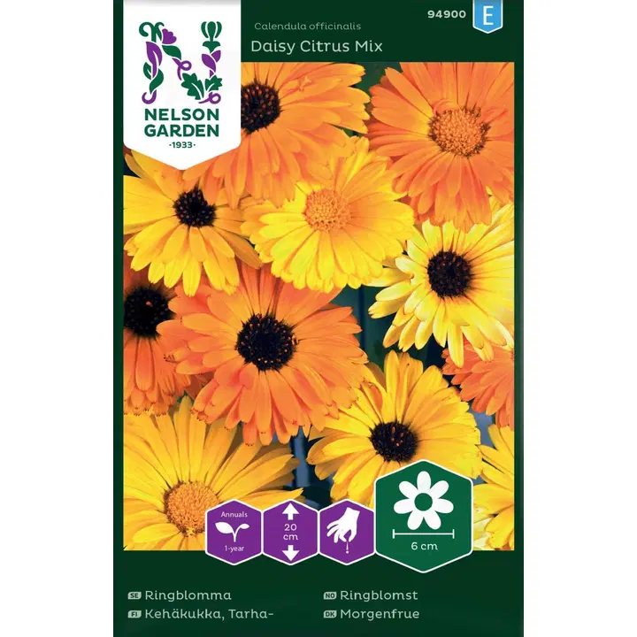 94900 saialill daisy citrus mix