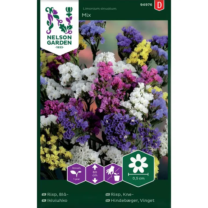 94976 limonium sinuatum
