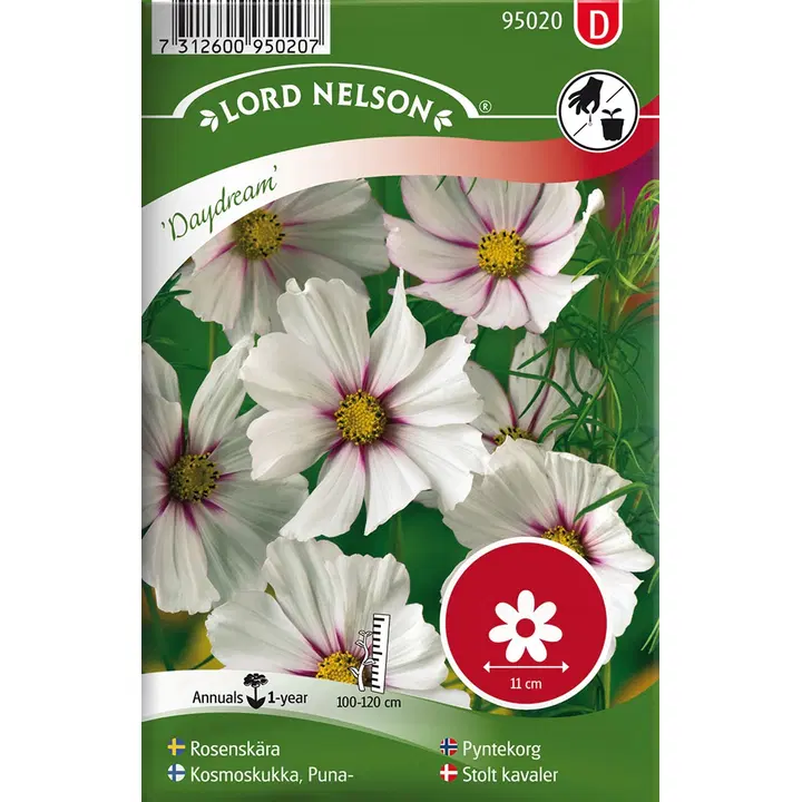 95020 kosmose lill daydream