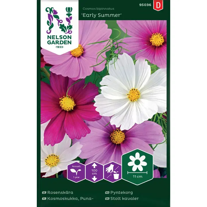 95036 kosmose lillearly summer