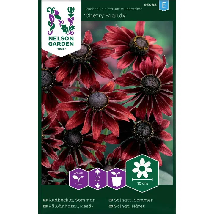 95088 päevakübar cherry brandy