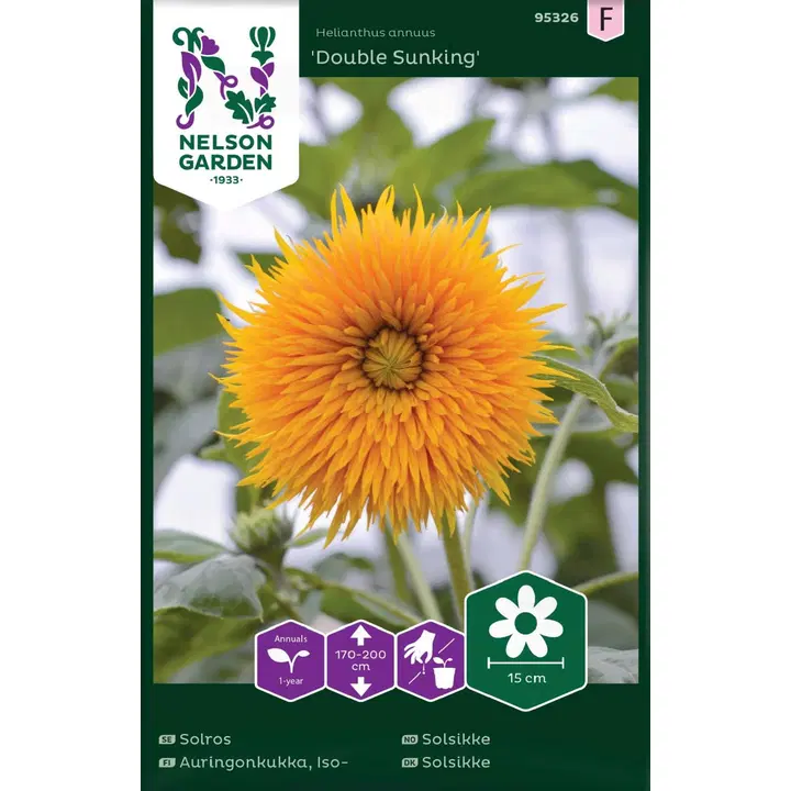 95326 päevalill double sunking