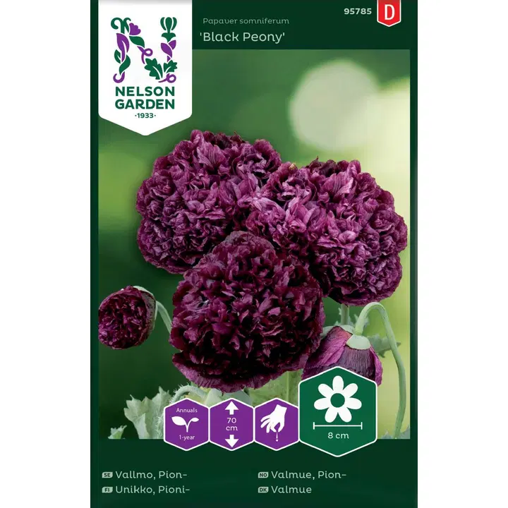 95785 pojeng black peony