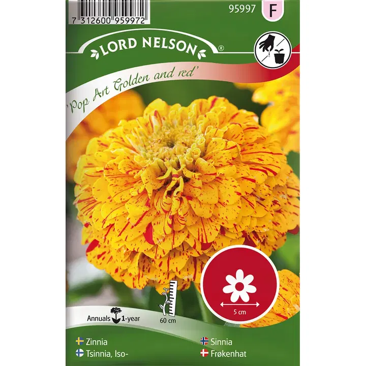 95997 zinnia pop art gold & red