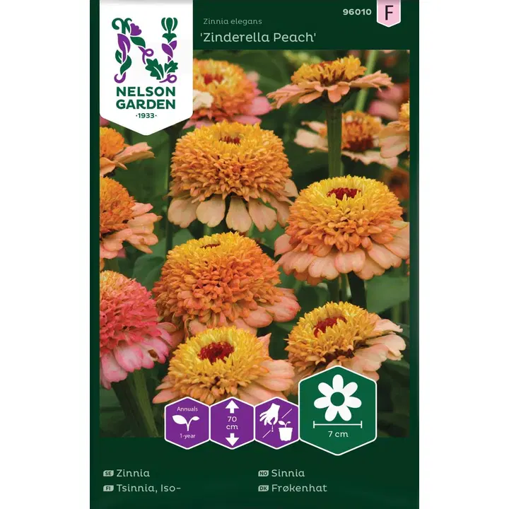 96010 zinnia zinderella peach