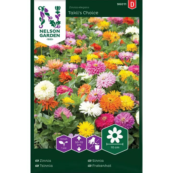96011 zinnia takii's choice