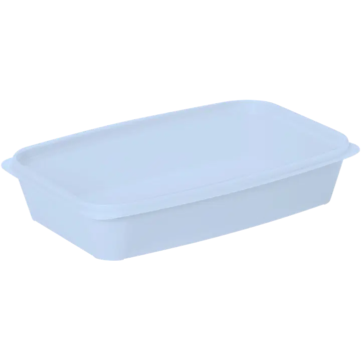 Säilituskarp SmartStore Easy 1,2 l helesinine