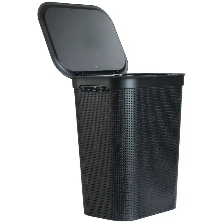 Pesukorv Rotho Brisen 50 l