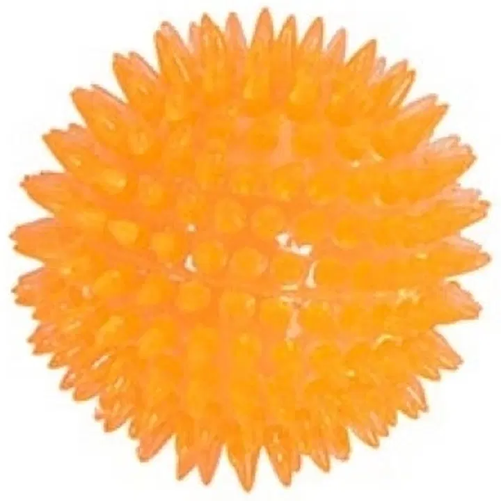Camon koerte mänguasi pall ogadega 8cm