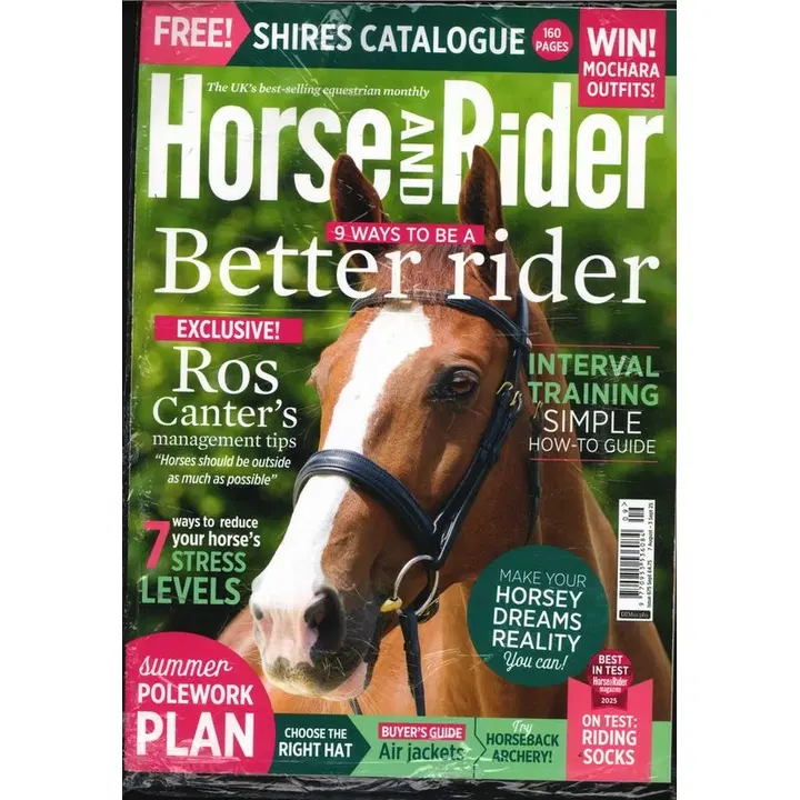 Horse & Rider