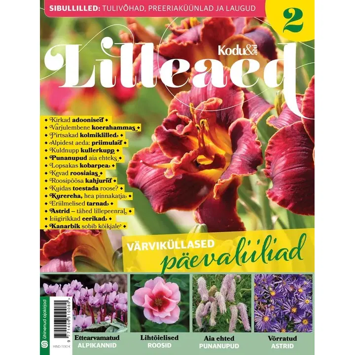 Lilleaed II