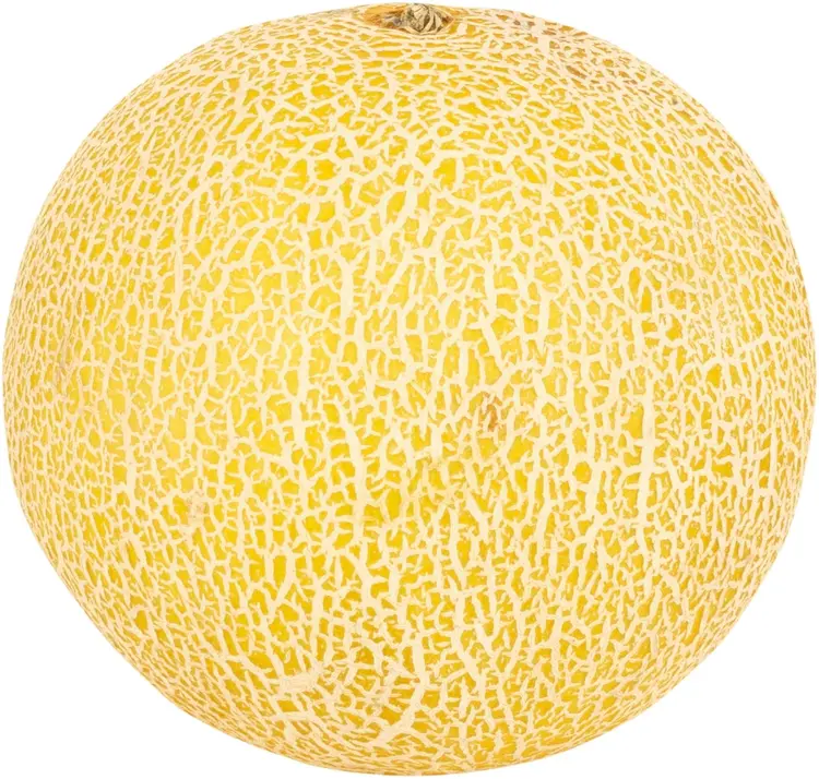 Galiameloni