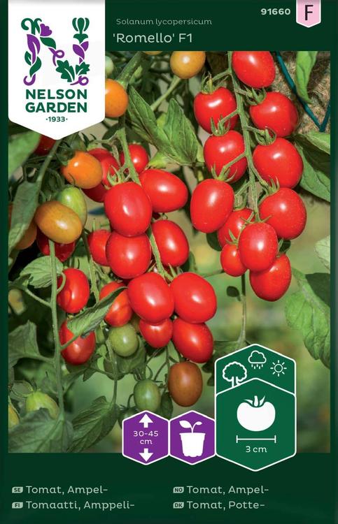 Nelson Garden Siemen Tomaatti, Amppeli-, Romello F1