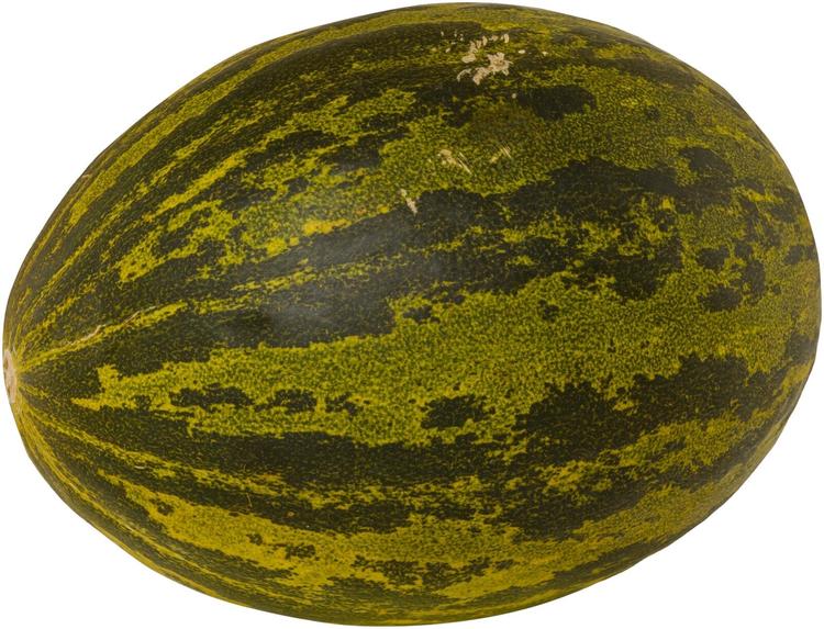 Piele de sapo pakattu pala