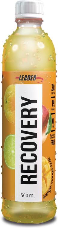 Leader Performance Recovery proteiini-hiilihydraattijpalautusjuoma hedelmänmakuinen 500 ml