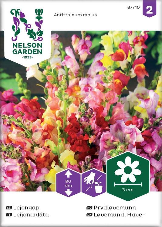 Nelson Garden Siemen Leijonankita, seos