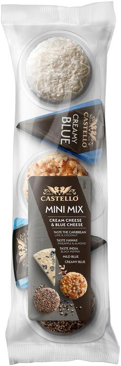 Arla Castello minijuustude valik, 5 x 20 g