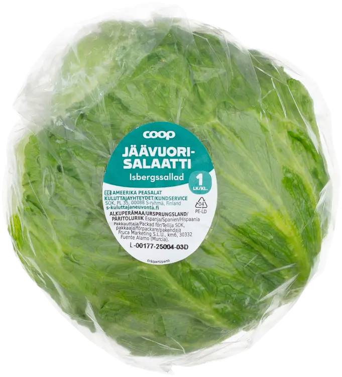Jäävuorisalaatti