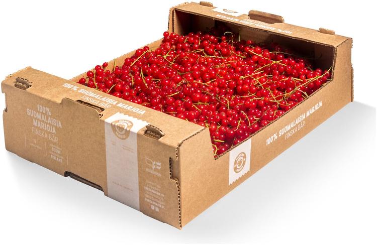 Pakkasmarja 3kg suomalainen tuorepunaherukka- käsin kerätty