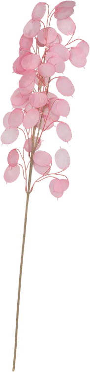 Teko-oksa Eukalyptus pinkki 30 cm