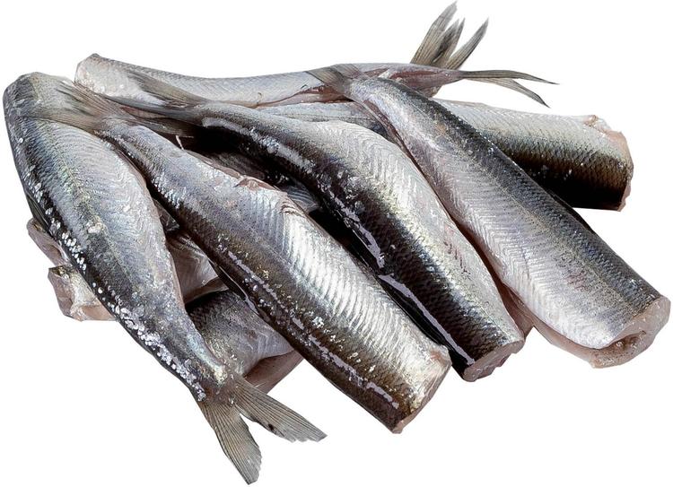 Hätälä Muikku perattu