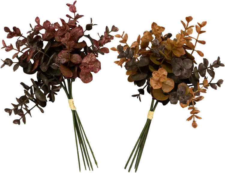 Tekokimppu eukalyptus, pieni