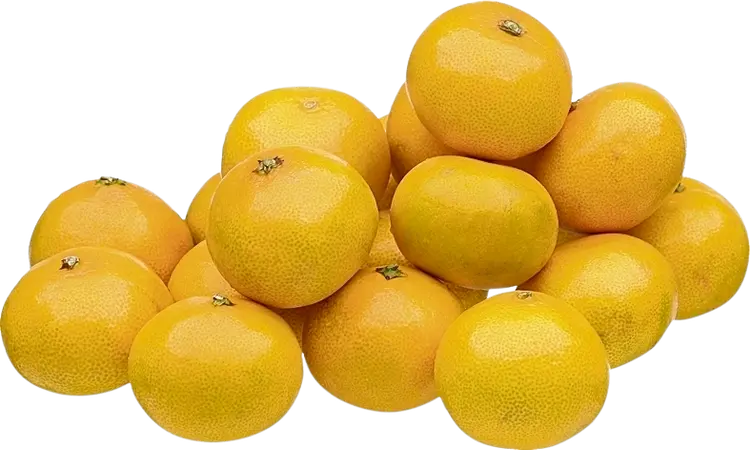 Satsuma