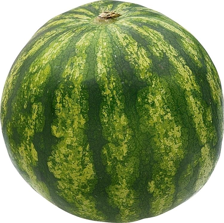 Vesimeloni siemenetön