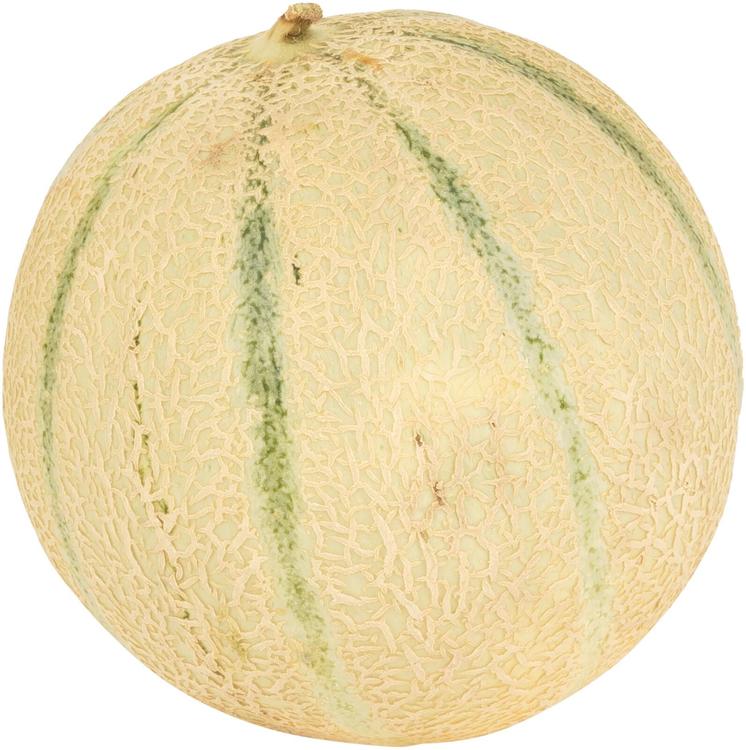 Meloni cantaloupe