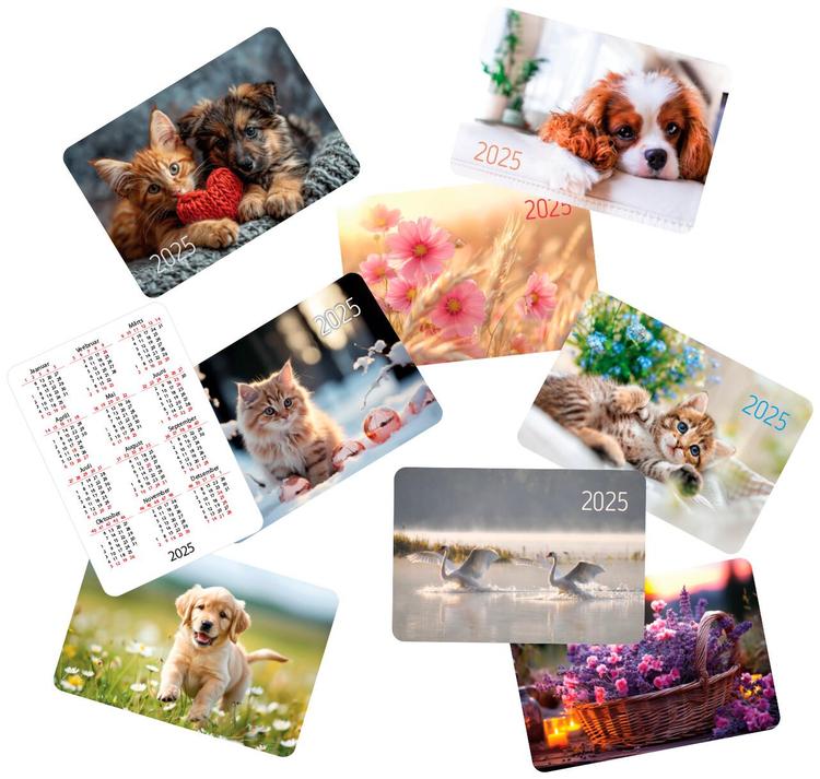 Taskukalender 65x95mm